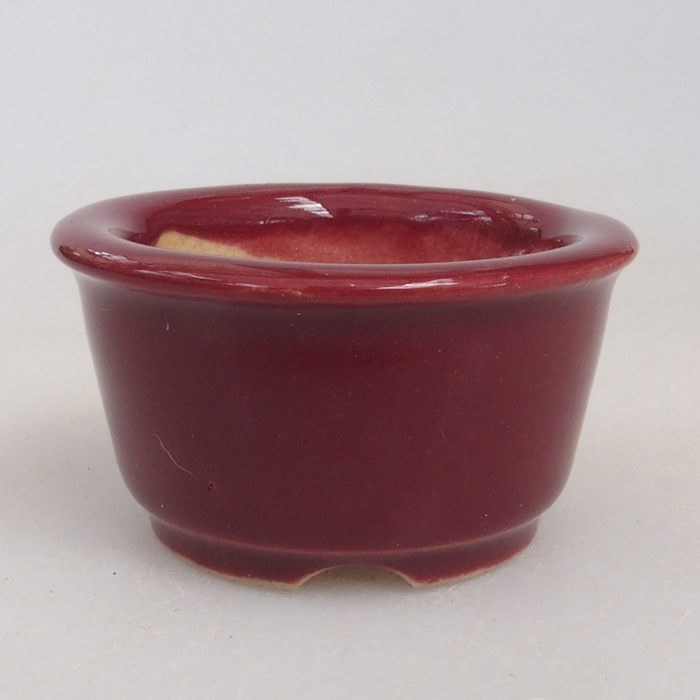 Mini bonsai tál 4 x 4 x 2 cm, bordó színben