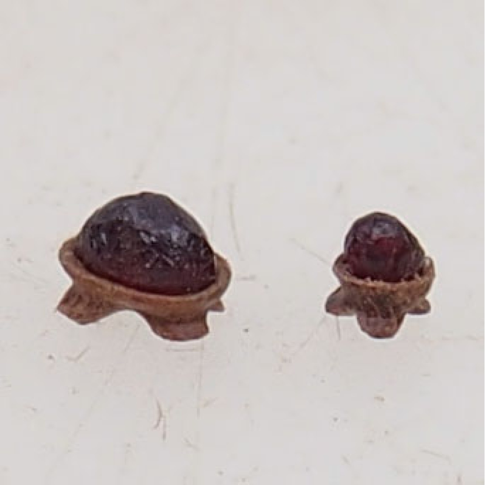 Suiseki - Kő DAI-val (fa alapon)