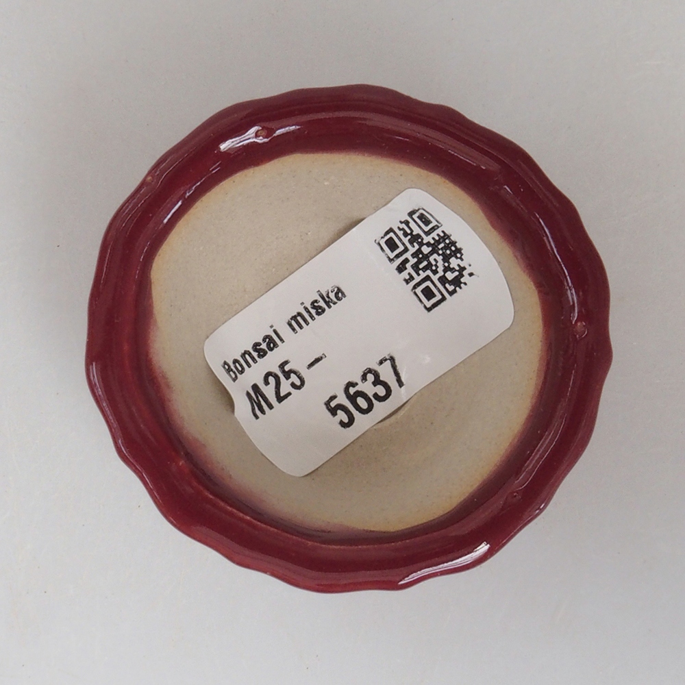 Mini bonsai tál 5 x 5 x 2,5 cm, bordó színben