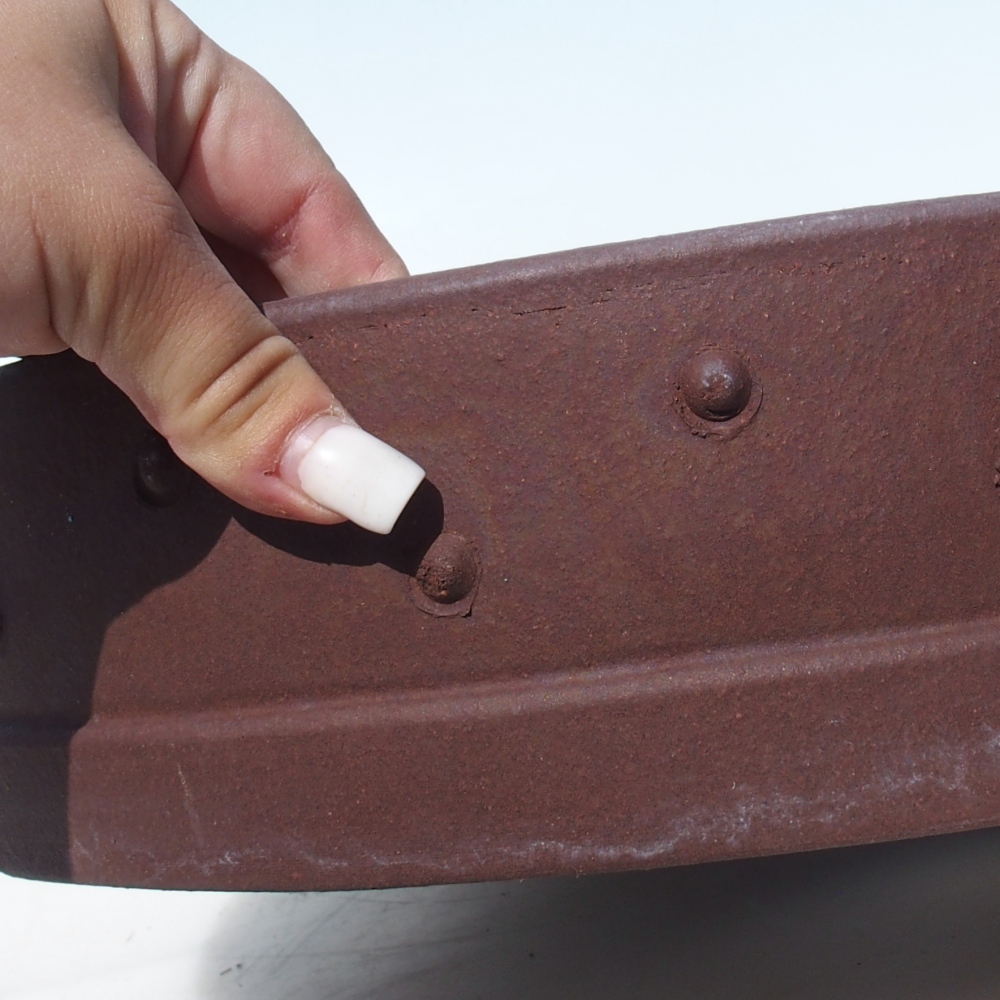 Bonsai tál 37 x 37 x 8,5 cm nyírfa barna