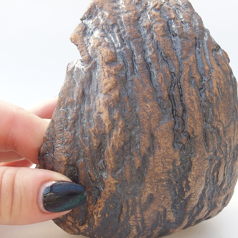 Kerámia kagyló 9,5 x 9 x 12 cm , barna színű