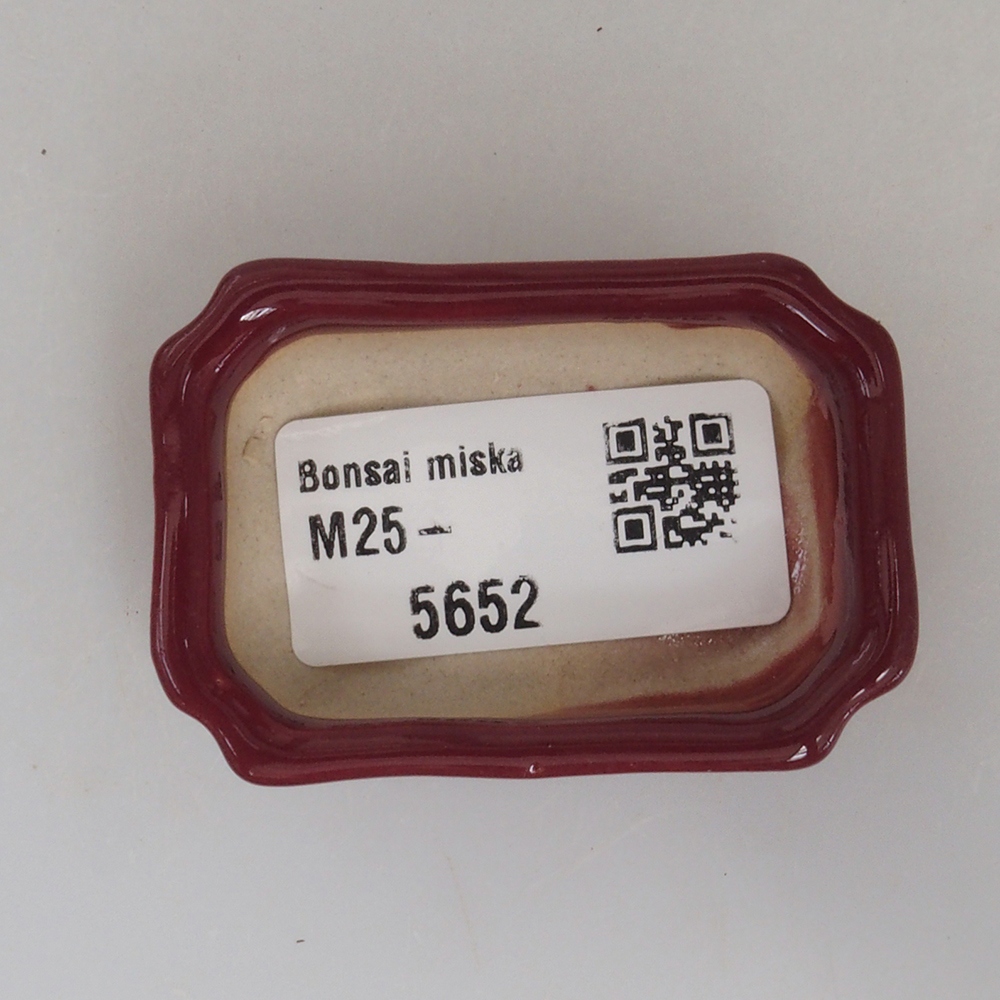 Mini bonsai tál 5,5 x 3,5 x 1,5 cm, bordó színben