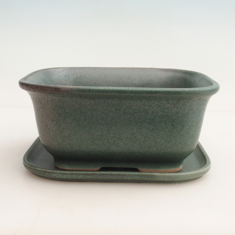Bonsai tál + csészealj H36 - 17 x 15 x 7,5 cm. - zöld