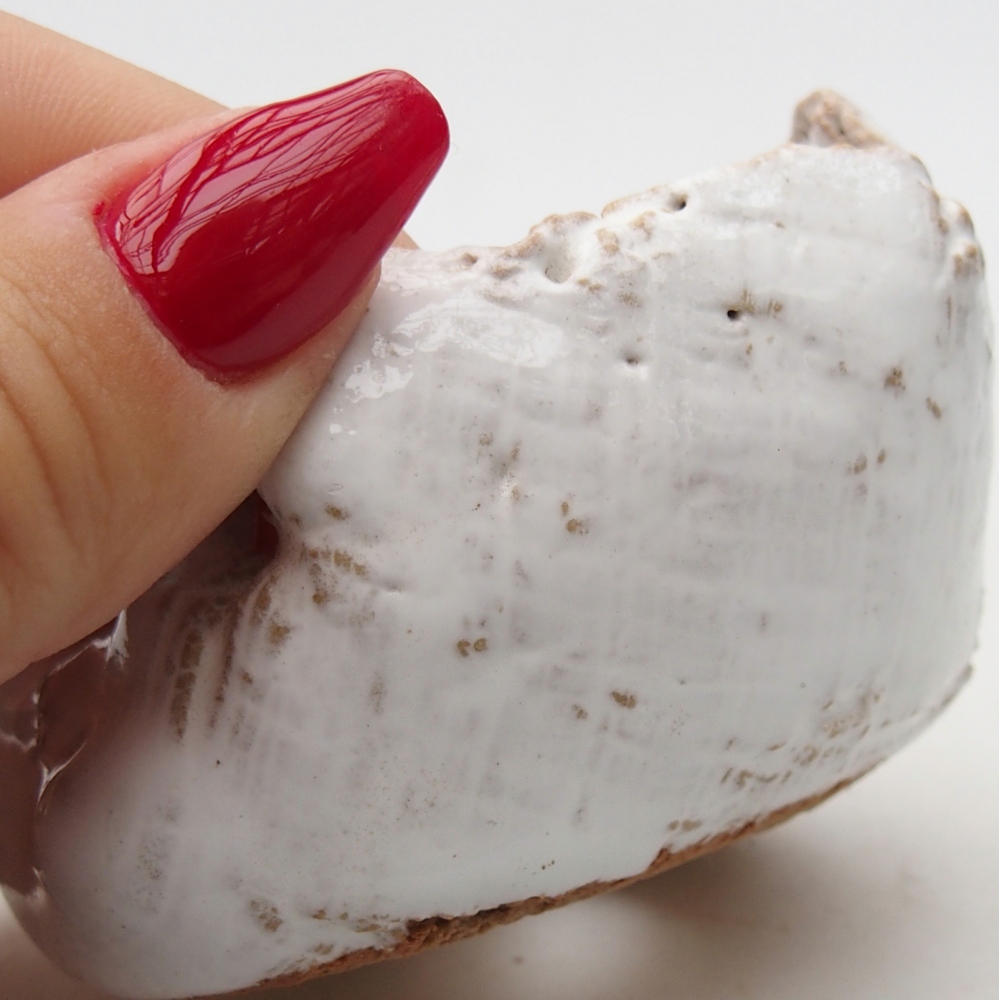 Kerámia kagyló 7 x 6,5 x 5 cm , fehér színű