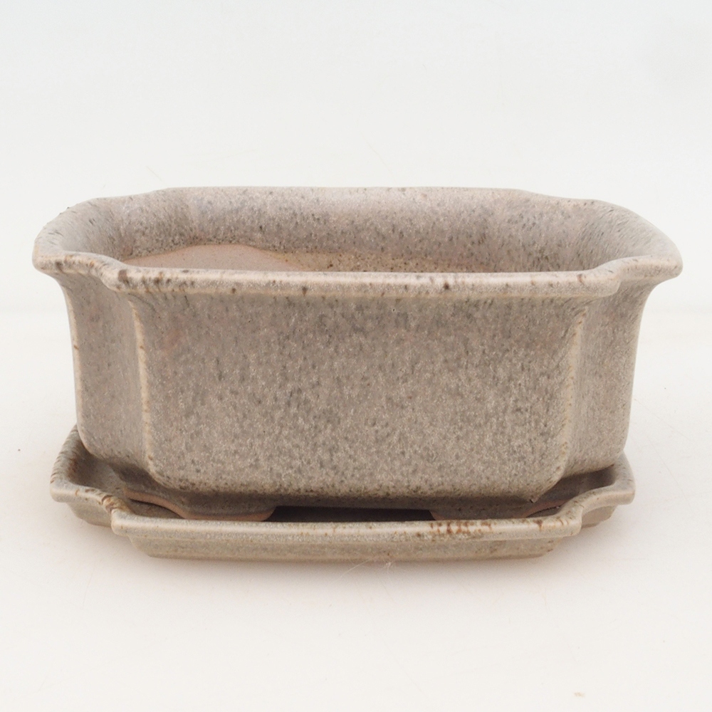 Bonsai tál + csészealj H01 - bézs