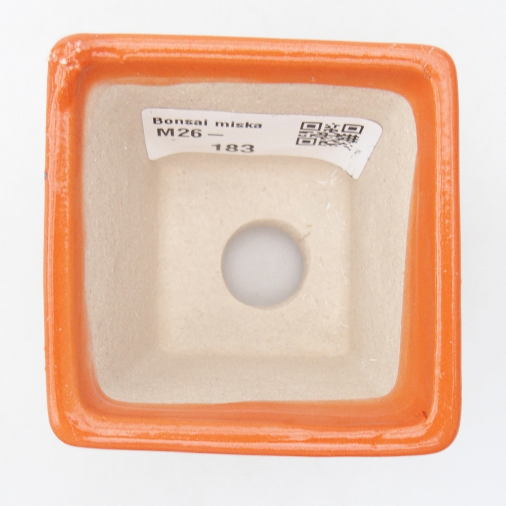 Mini bonsai tál 6 x 6 x 5 cm, narancssárga