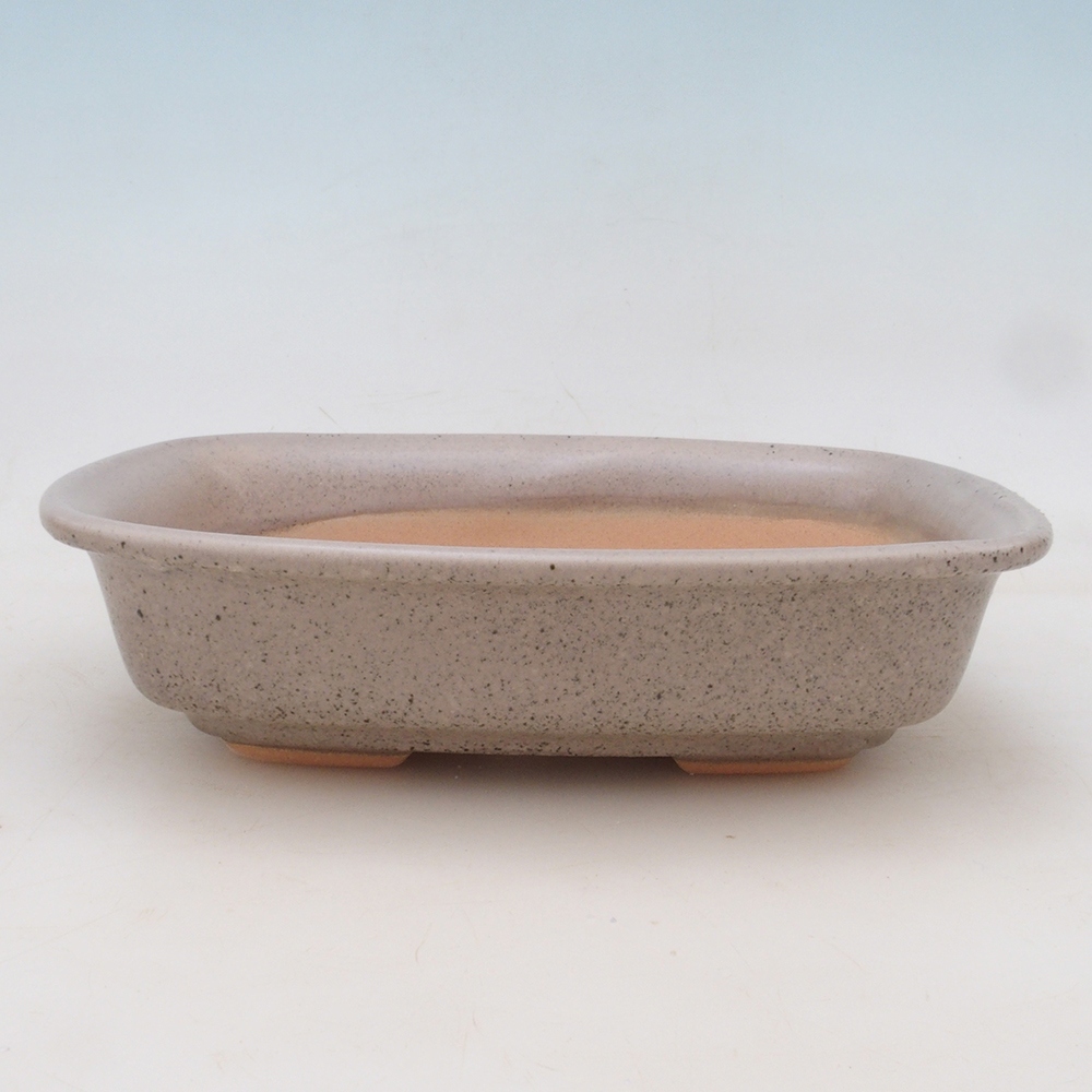 Bonsai tál H02 - 19 x 13 x 5 cm. - bézs színű