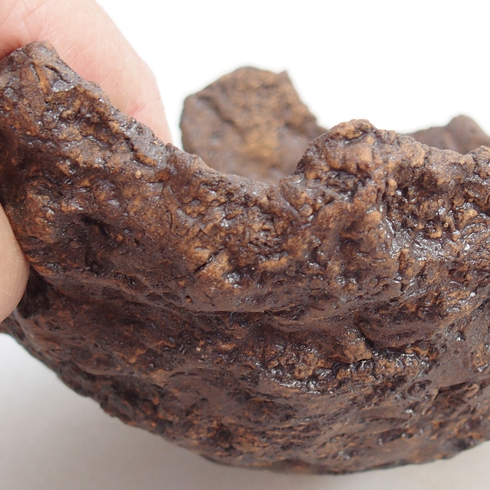 Kerámia kagyló 19 x 15 x 14 cm , barna színű