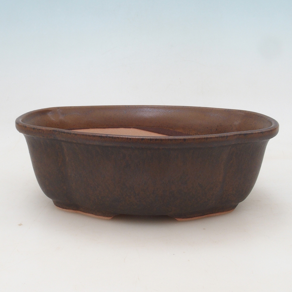 Bonsai tál H75 - 19 x 14 x 6,5 cm.