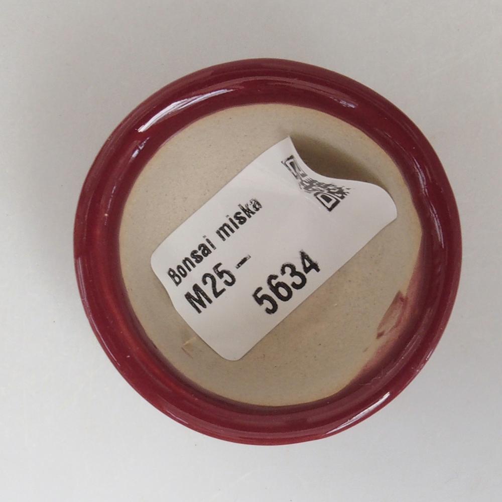 Mini bonsai tál 4,5 x 4,5 x 2,5 cm, bordó színben