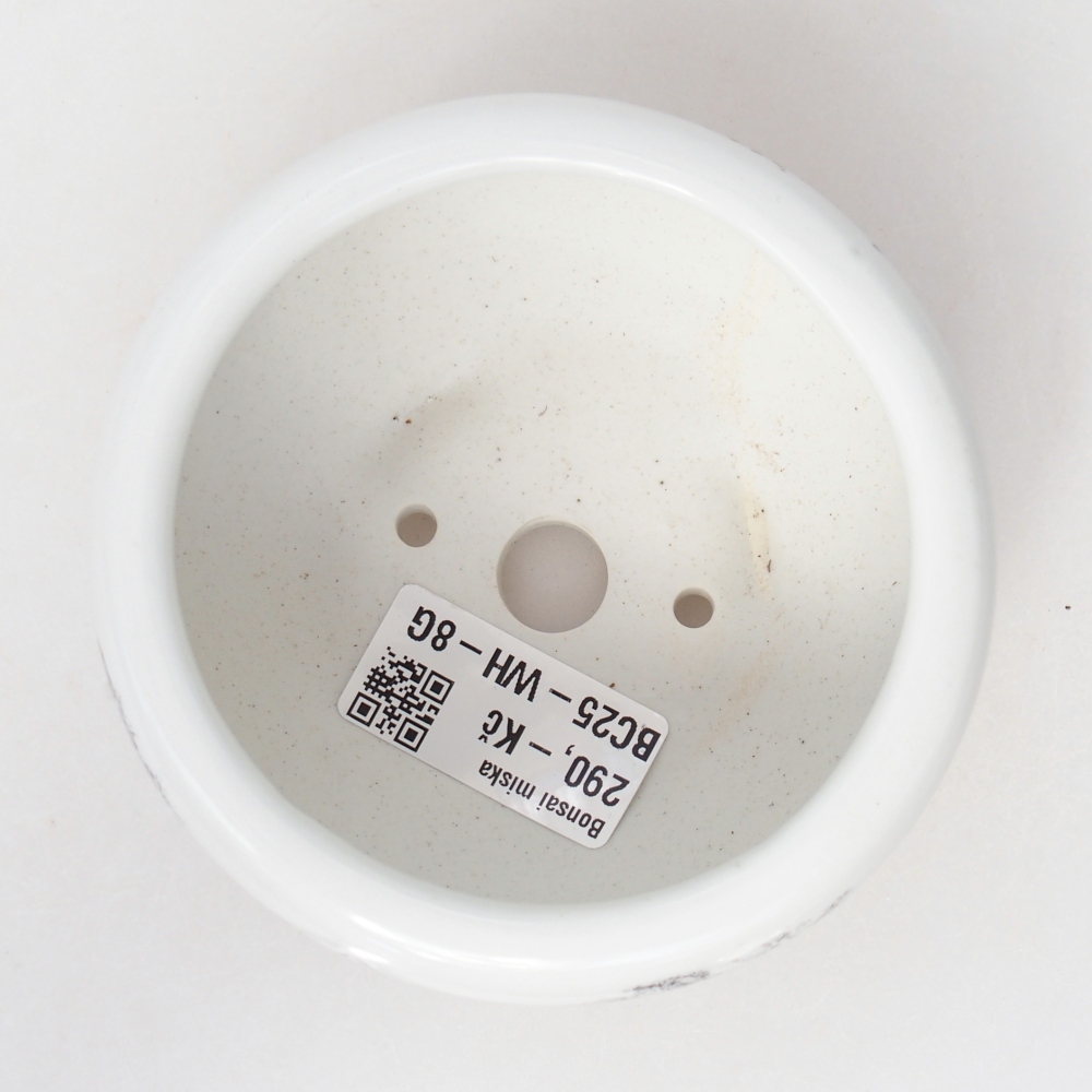 kerámia bonsai tál 10 x 10 x 5 cm, fehér színben