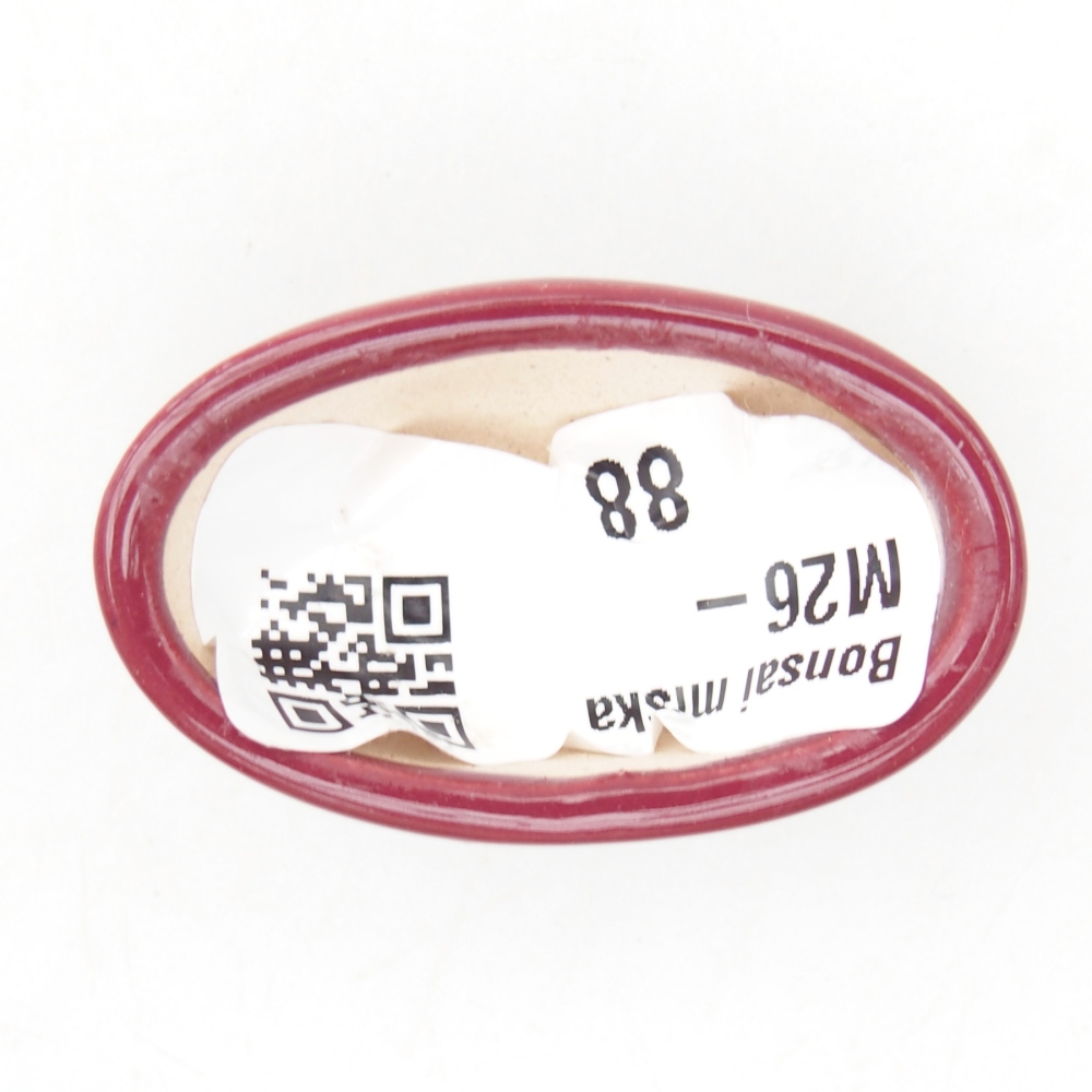 Mini bonsai tál 4 x 2,5 x 2 cm, bordó színben