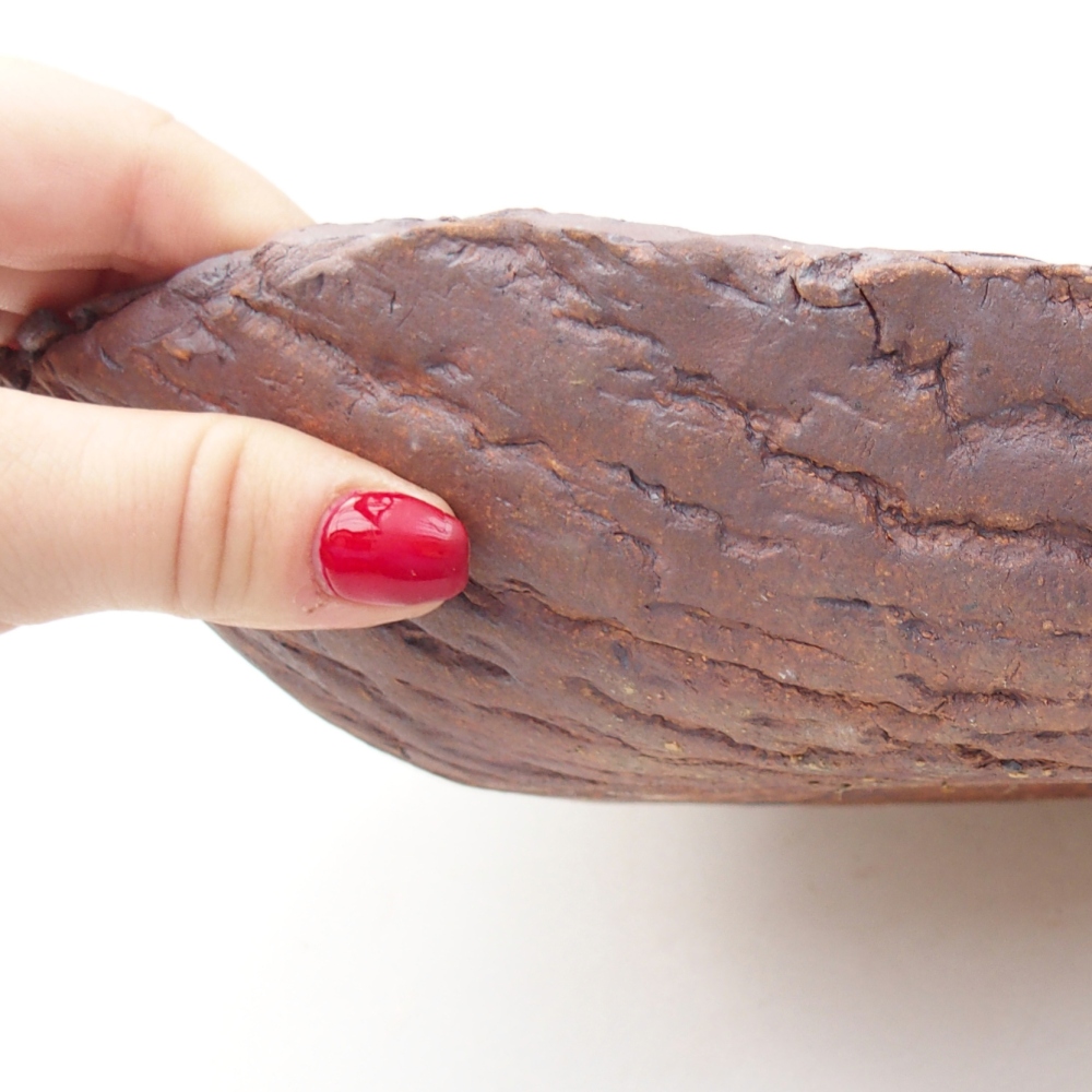 Kerámia kagyló 31 x 21 x 7,5 cm , színe barna