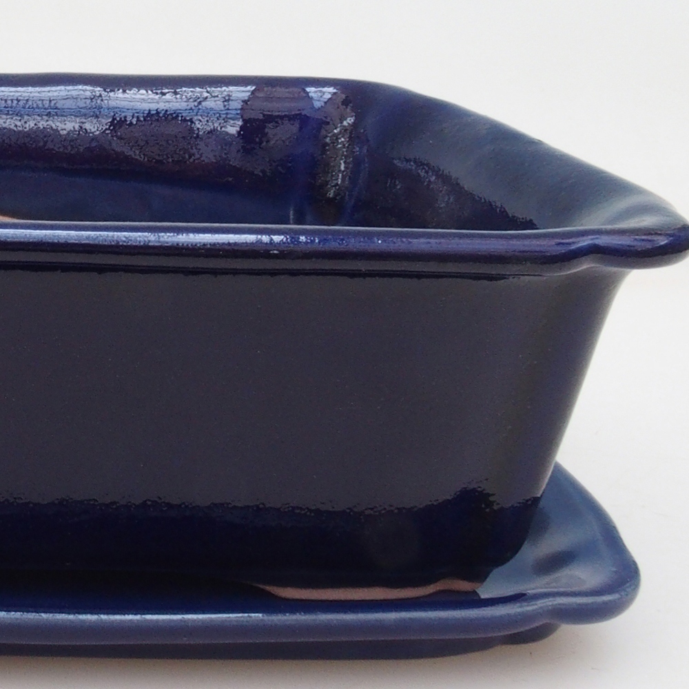Bonsai tál + csészealj H50 - kék