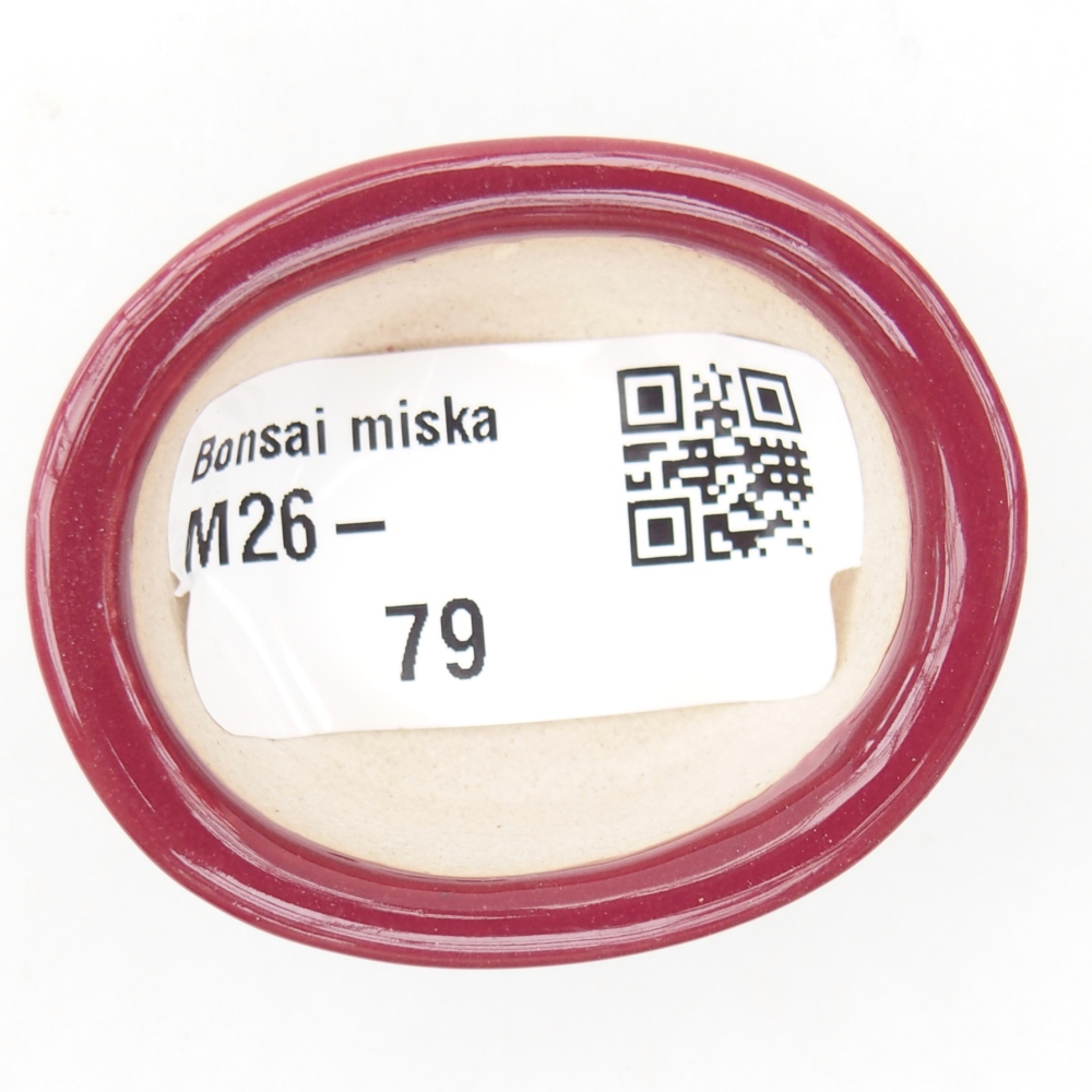 Mini bonsai tál 4,5 x 4 x 2 cm, bordó színben
