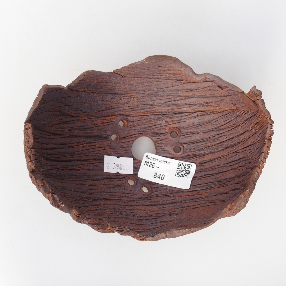 Kerámia kagyló 14 x 12 x 9,5 cm , barna színű