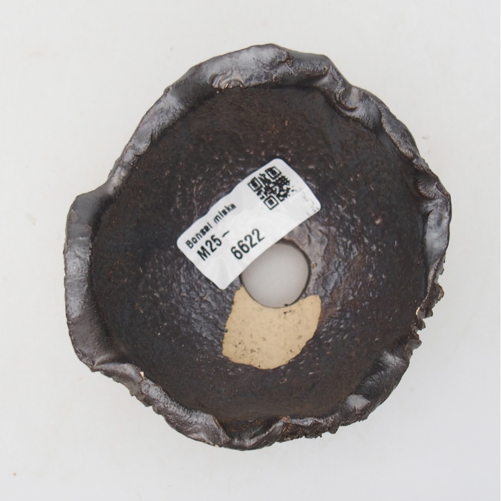 Kerámia kagyló 9 x 9 x 6 cm , fekete színű