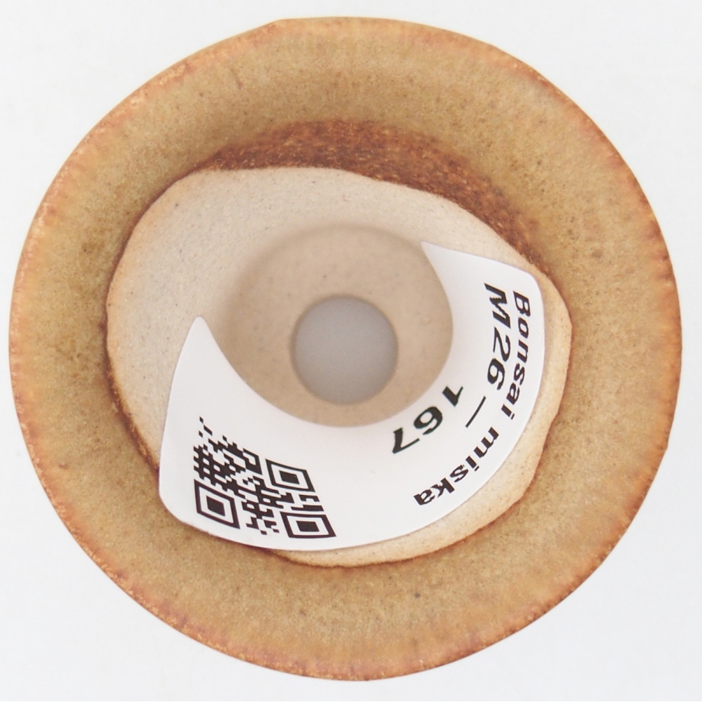 Mini bonsai tál 4,5 x 4,5 x 4 cm, barna