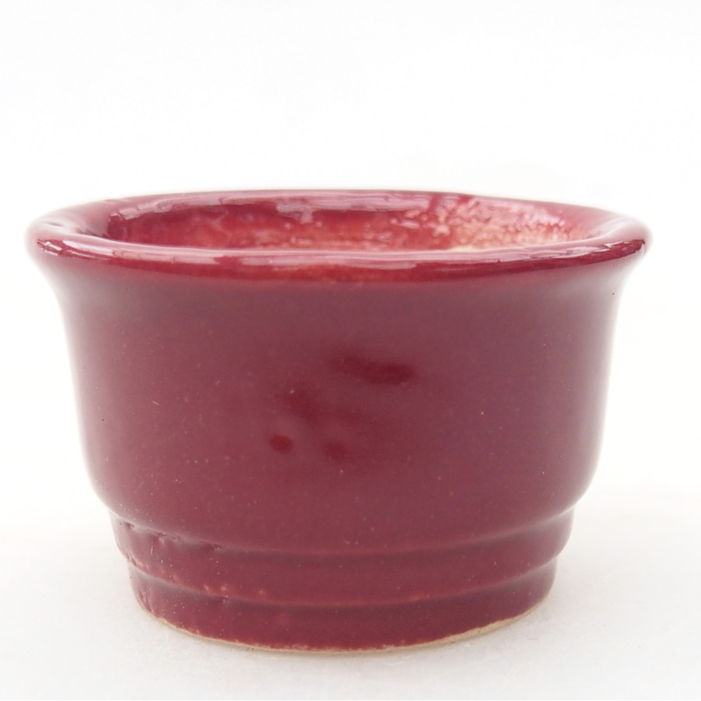 Mini bonsai tál 4 x 4 x 2 cm, bordó színben