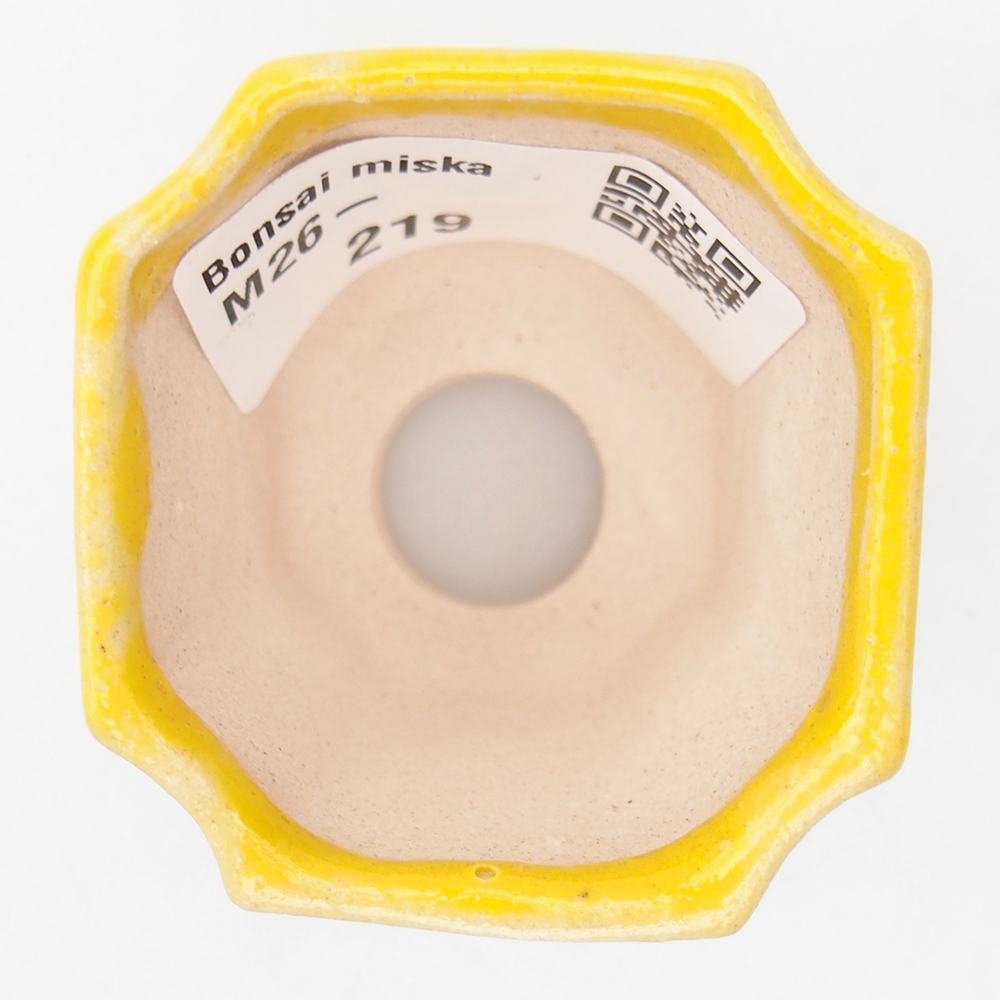 Mini bonsai tál 4,5 x 4,5 x 4 cm, sárga