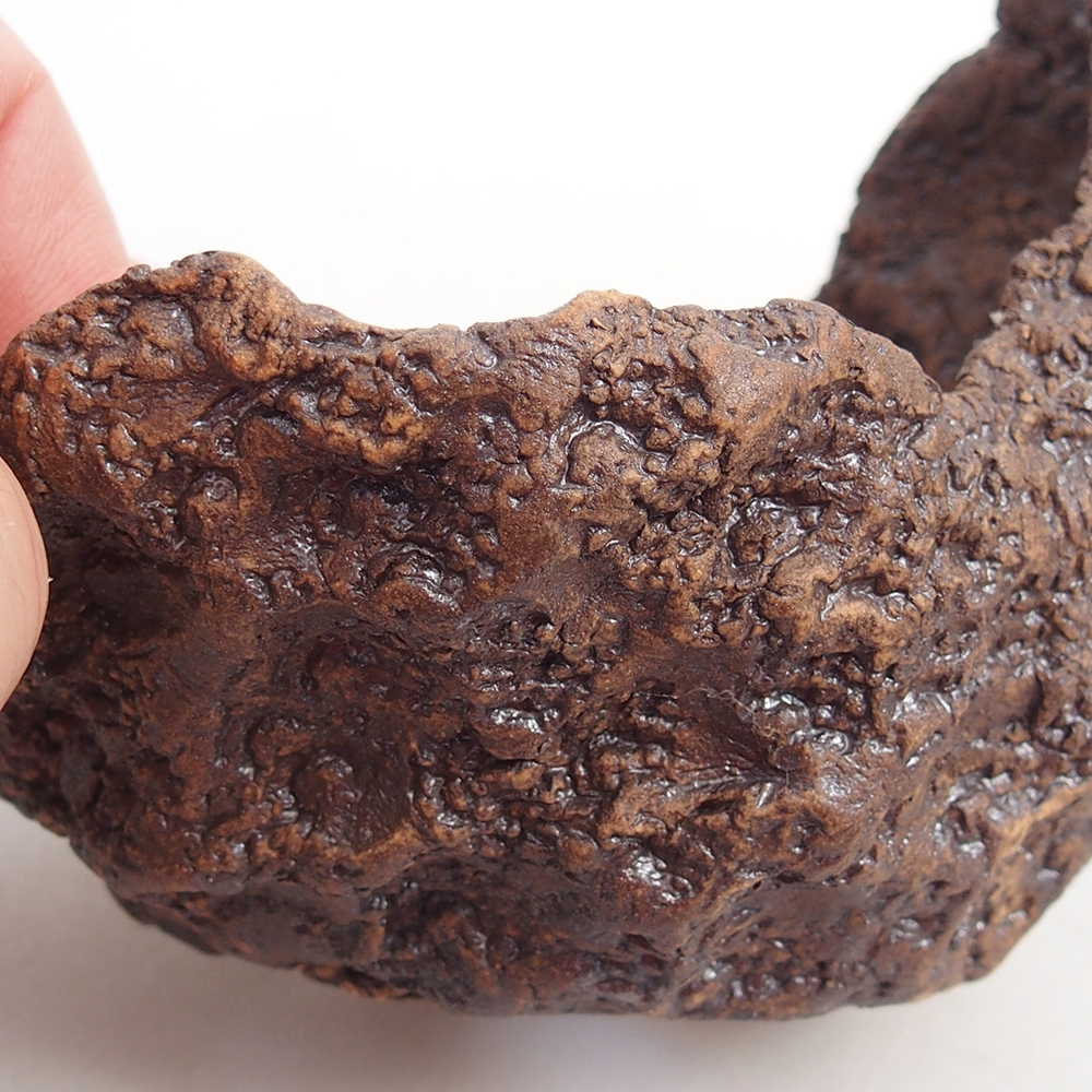 Kerámia kagyló 10 x 8 x 9,5 cm , barna színű