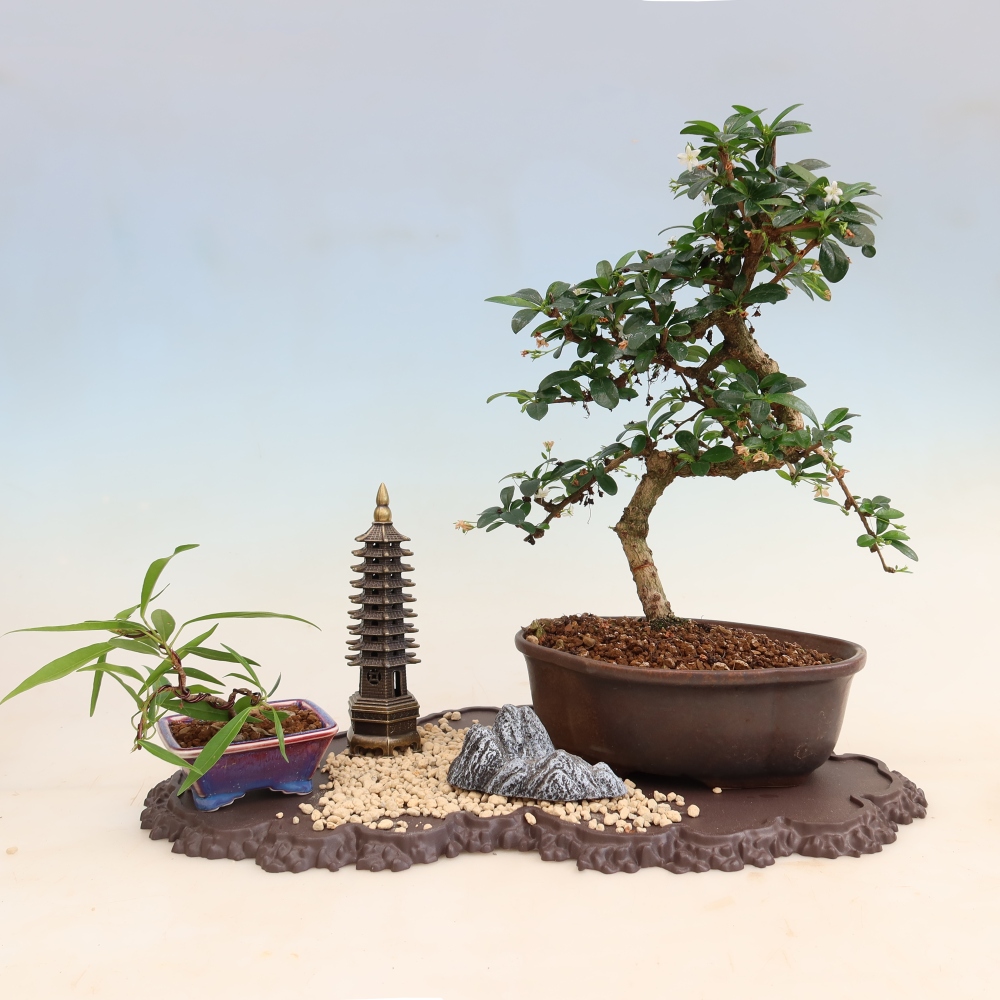 Műanyag bonsai-tartó, 43 x 25 x 1,5 cm, barna színű