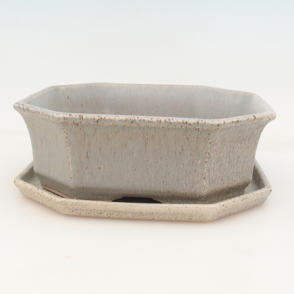 Bonsai tál + csészealj H14 - bézs