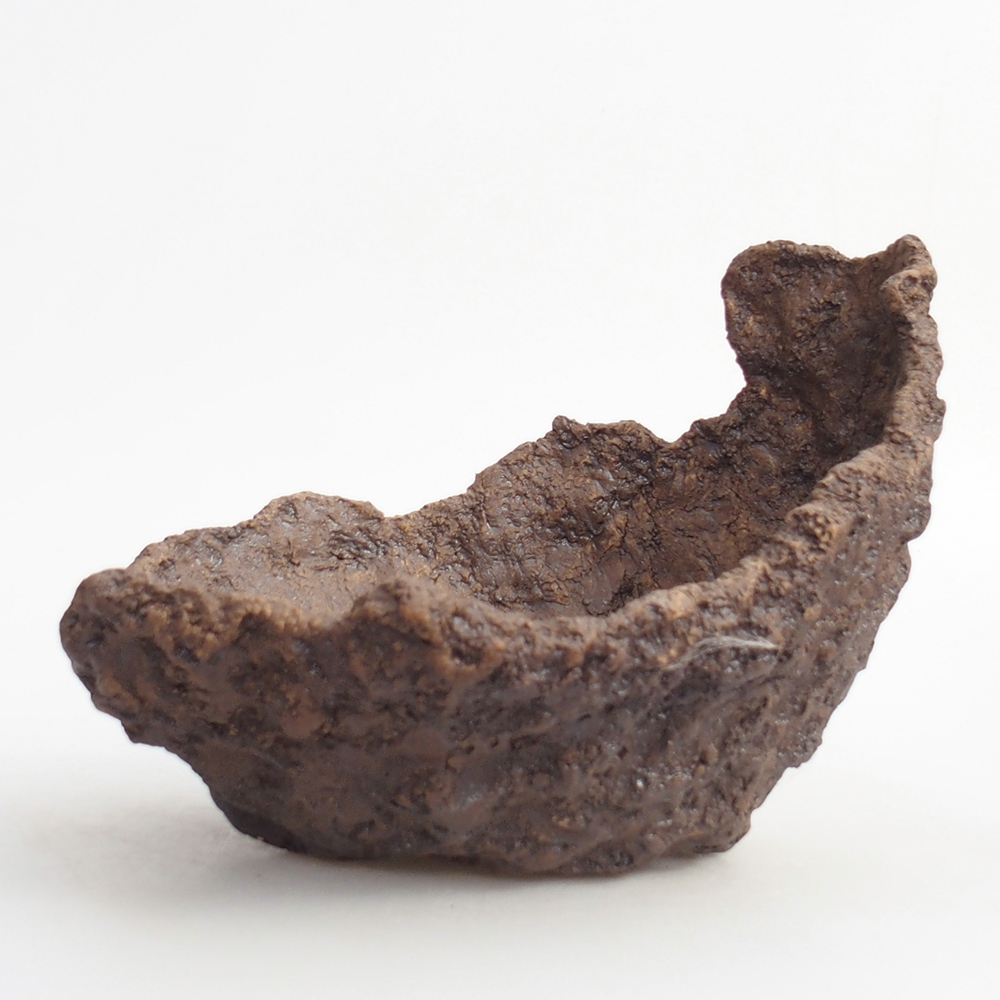 Kerámia kagyló 19 x 15 x 14 cm , barna színű