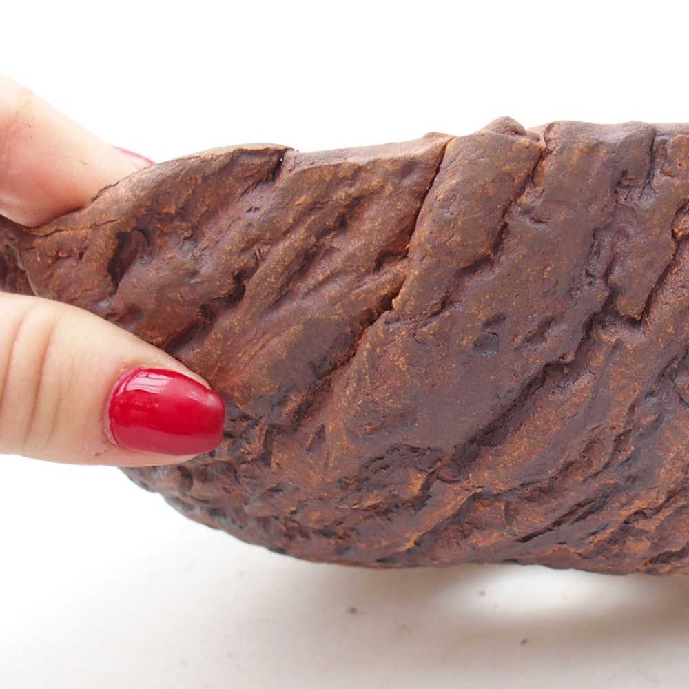 Kerámia kagyló 18,5 x 18,5 x 8 cm , barna színű