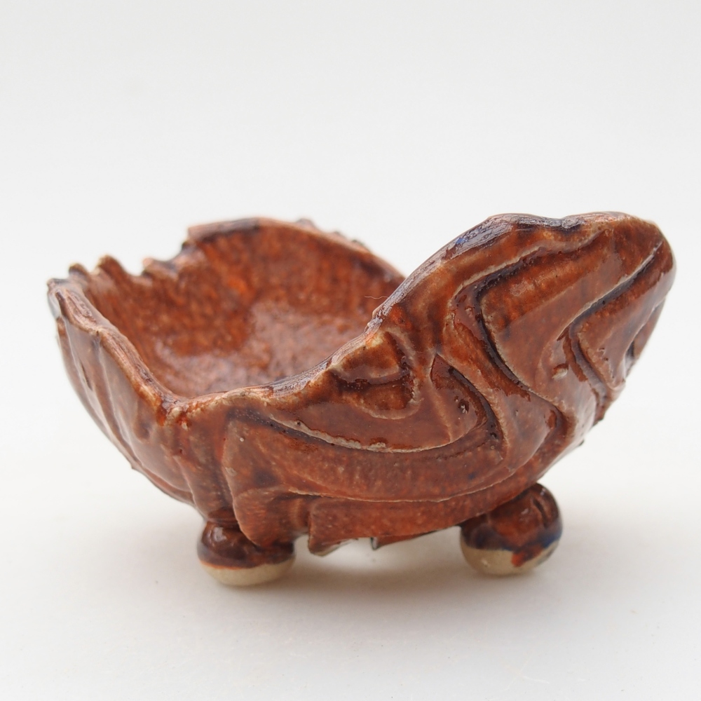 Kerámia kagyló 8 x 9,5 x 5 cm , narancssárga színű