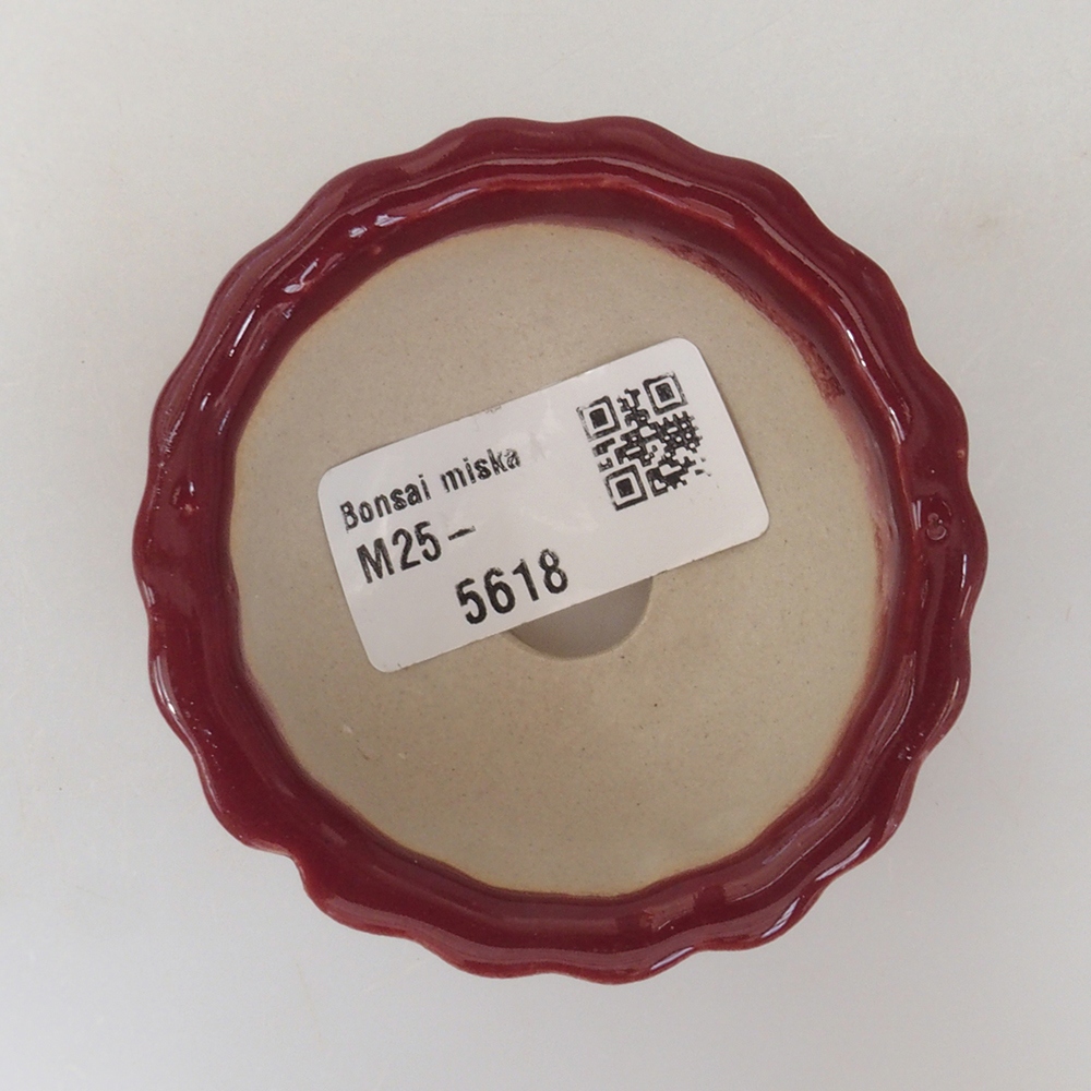 Mini bonsai tál 6,5 x 6,5 x 3,5 cm, bordó színű
