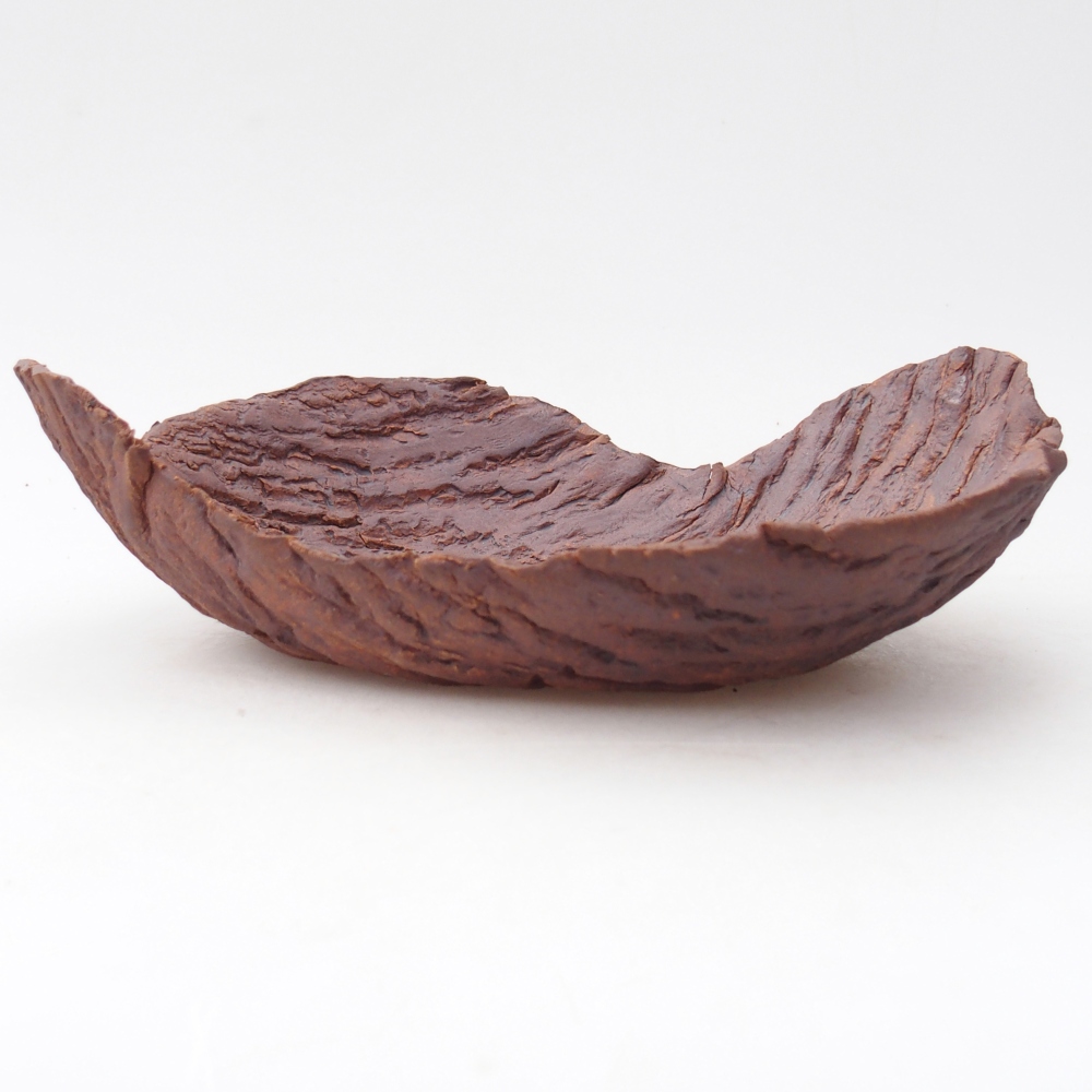 Kerámia kagyló 22 x 18,5 x 6,5 cm , színe barna