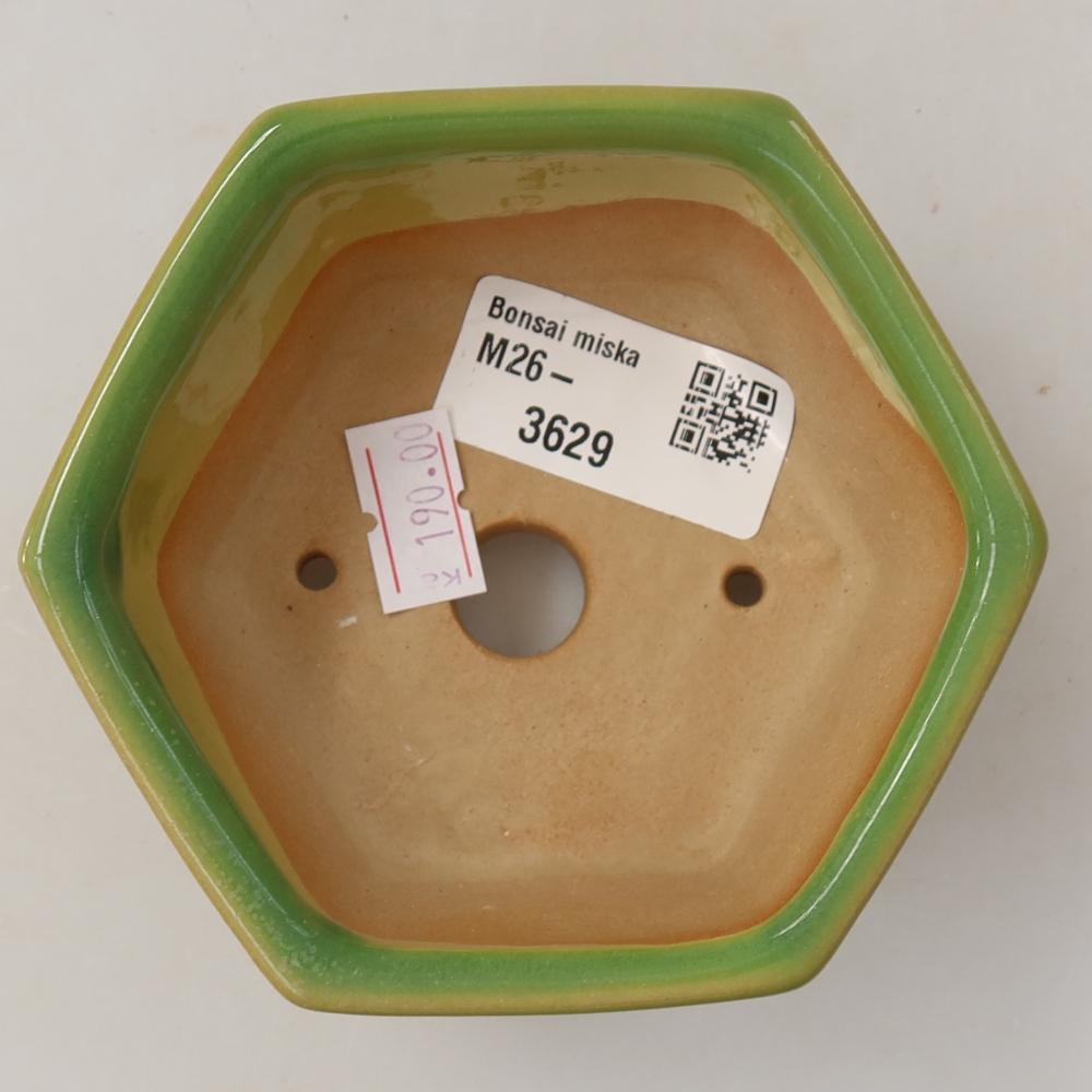kerámia bonsai tál 10 x 9 x 5 cm, zöld