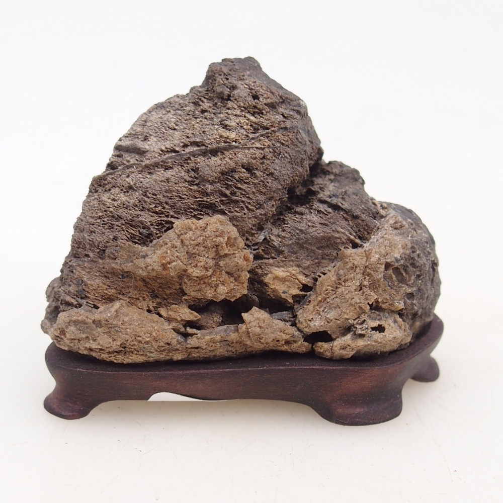 Suiseki - Kő DAI-val (fa alapon)