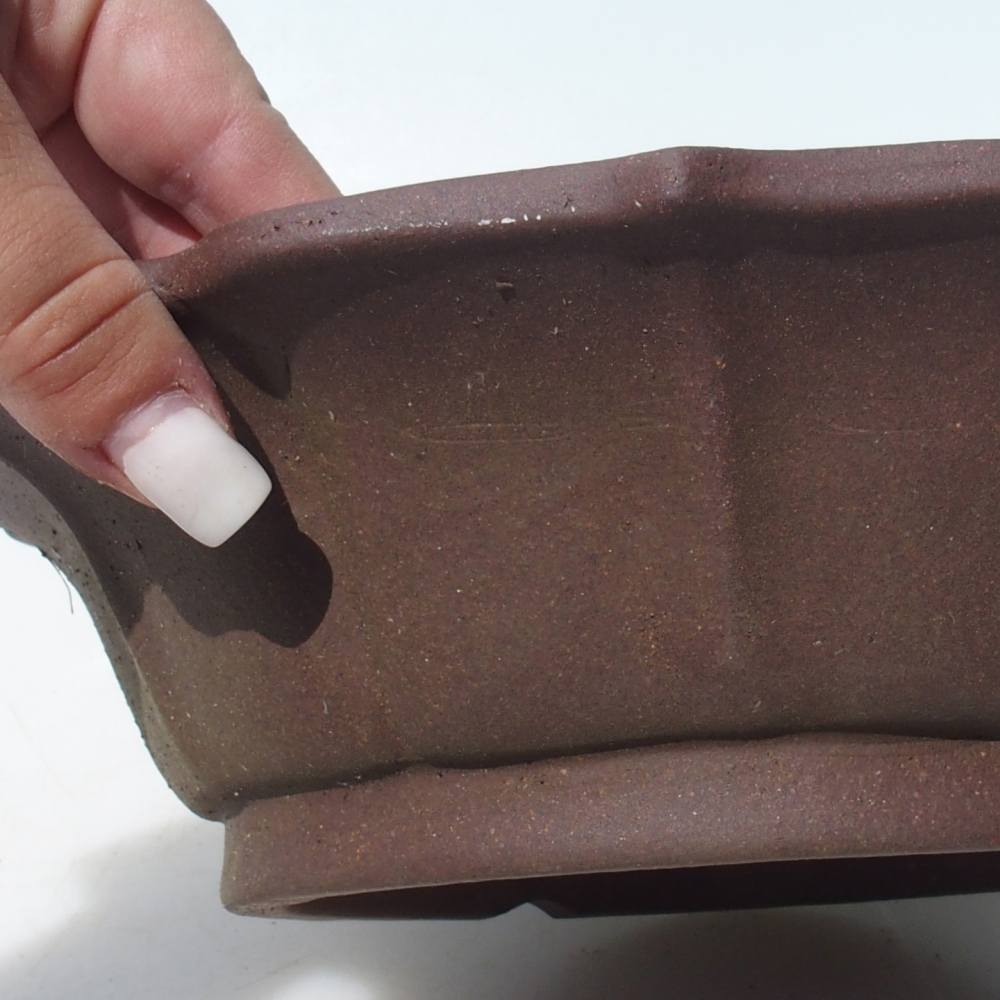 Bonsai tál 24 x 24 x 7 cm nyírfa barna