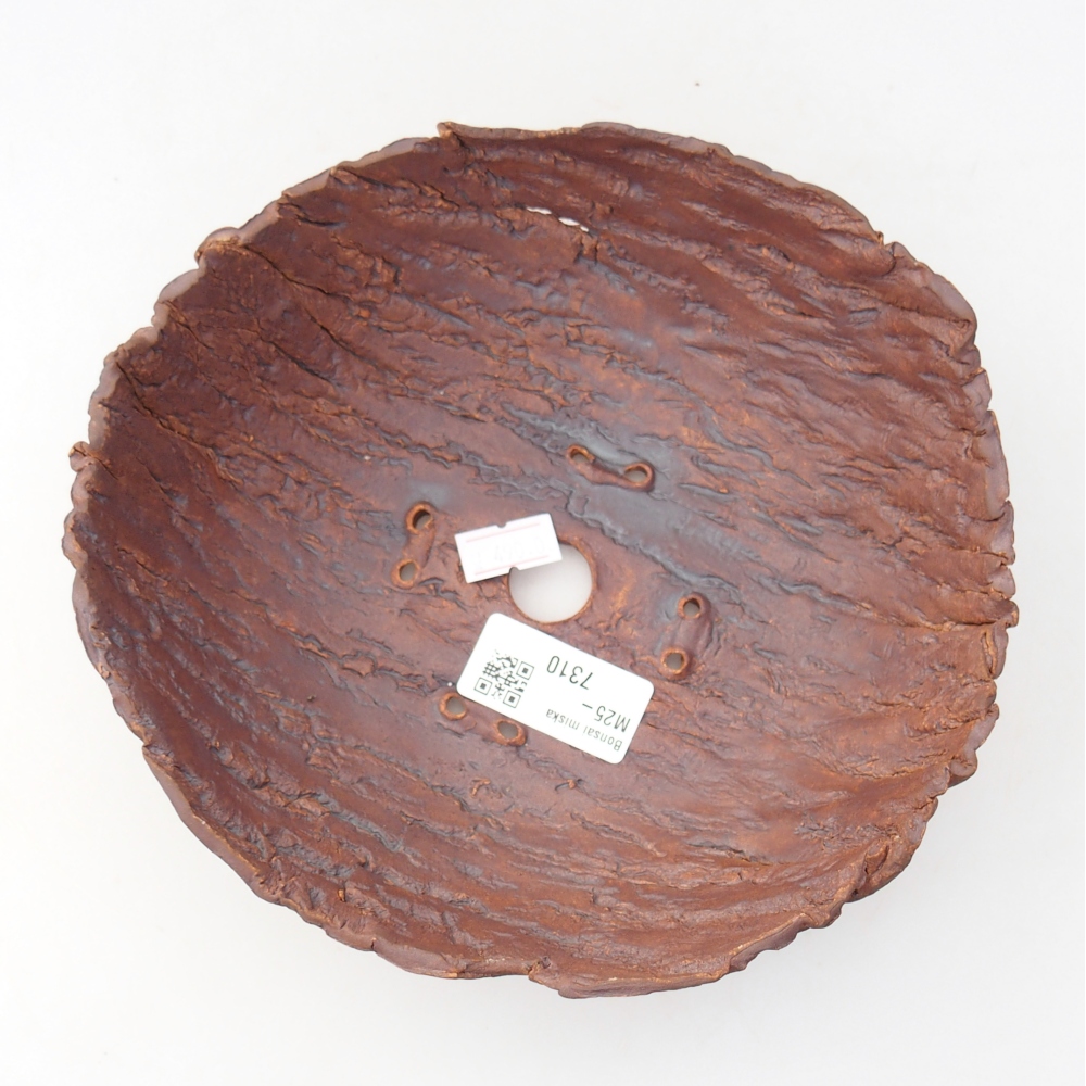 Kerámia kagyló 19 x 17 x 7 cm , színe barna