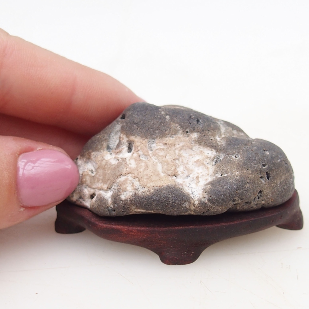 Suiseki - Kő DAI-val (fa alapon)