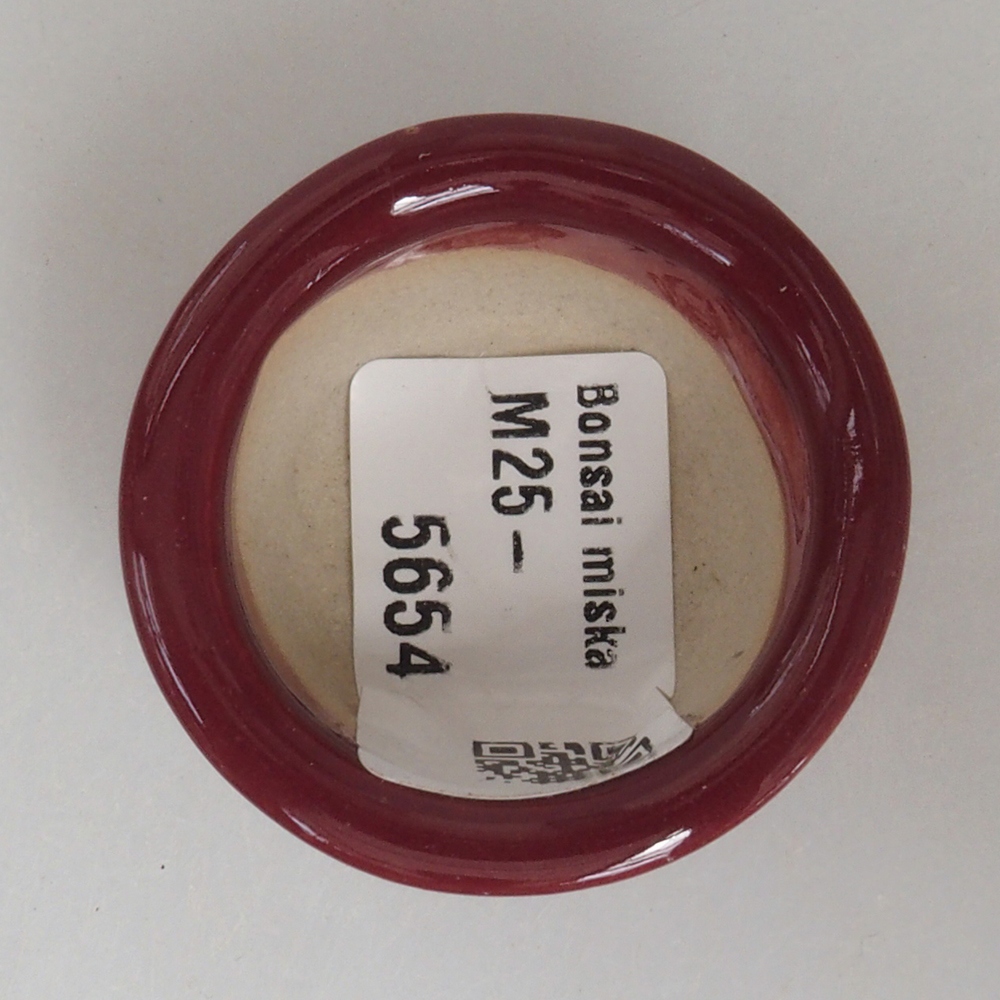 Mini bonsai tál 4 x 4 x 2 cm, bordó színben