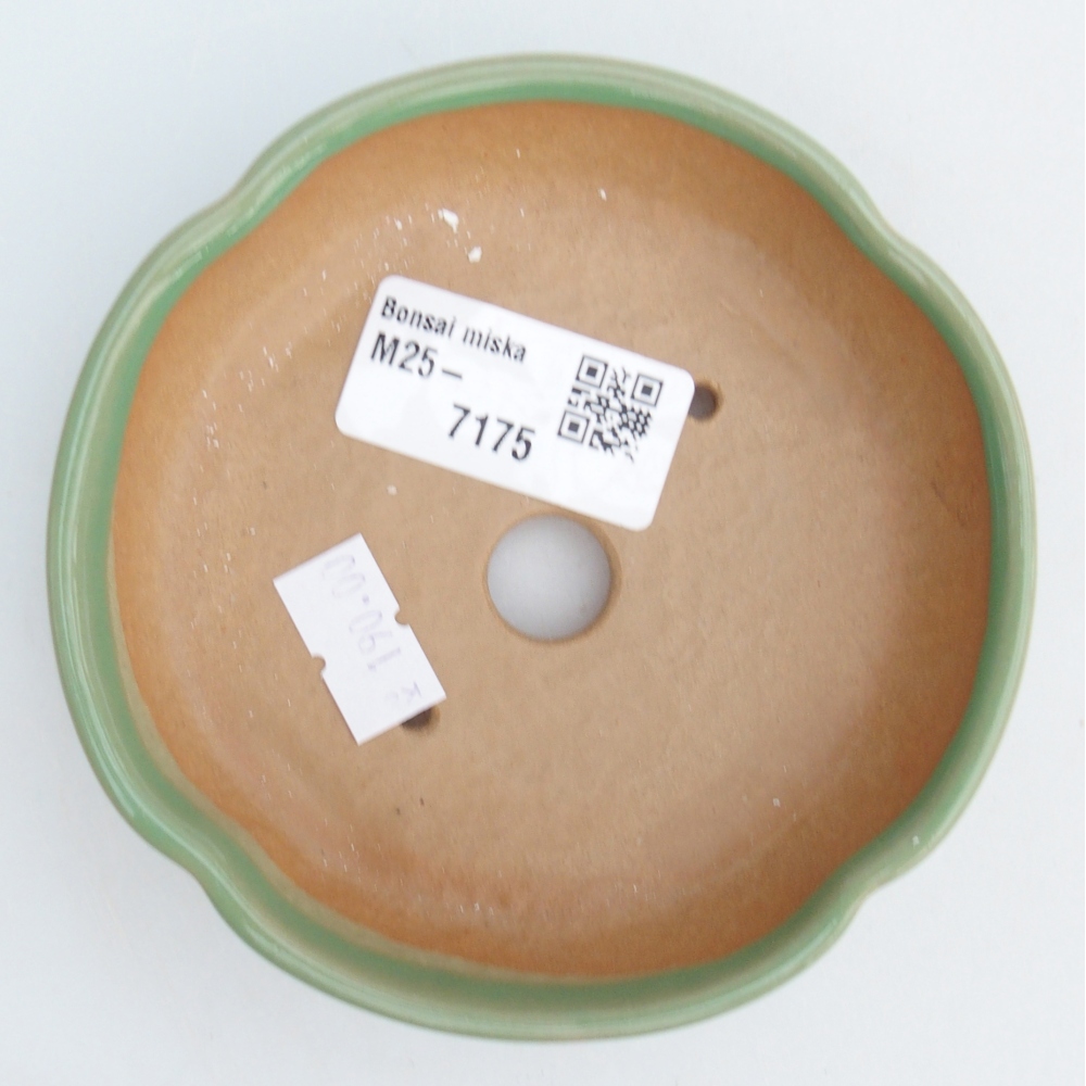 kerámia bonsai tál 11 x 11 x 3 cm, zöld