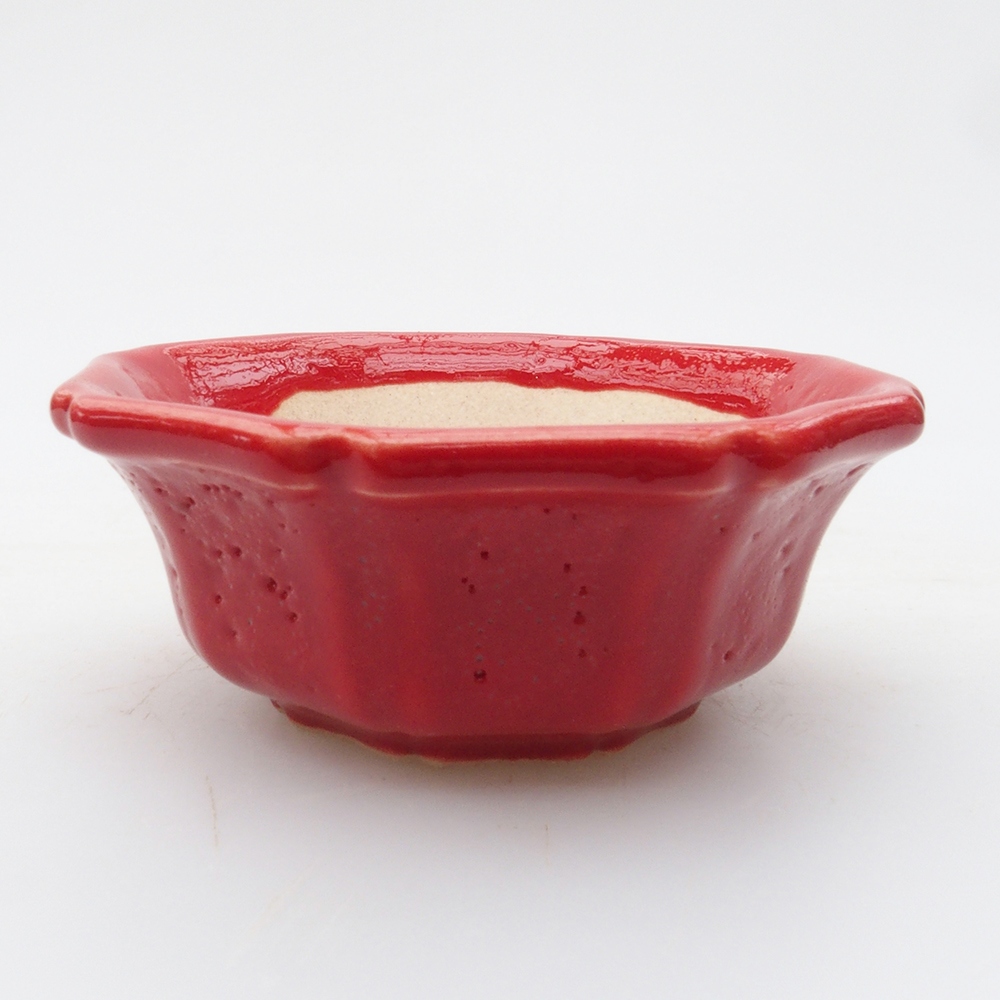 Mini bonsai tál 6 x 6 x 2 cm, piros színben