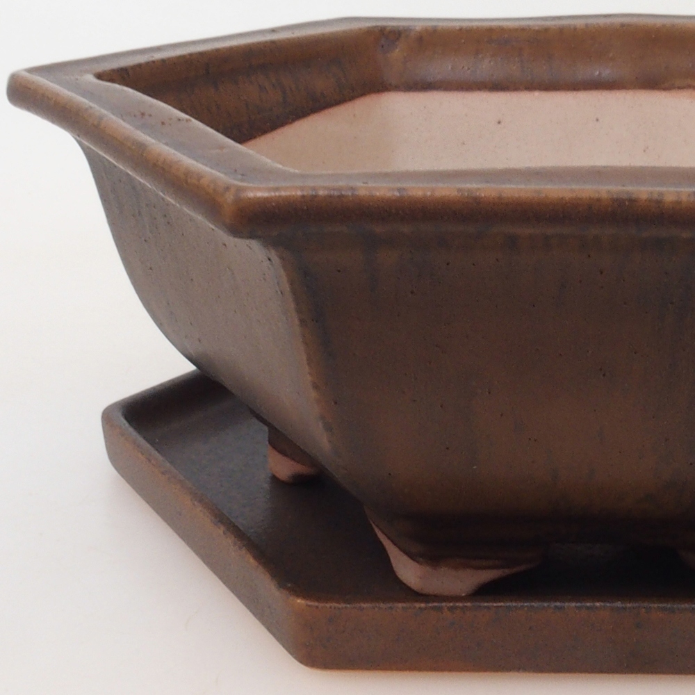 Bonsai tál + csészealj H53 - 19 x 21,5 x 7 cm - barna