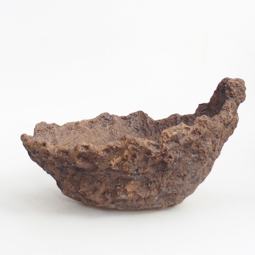 Kerámia kagyló 19 x 15 x 14 cm , barna színű