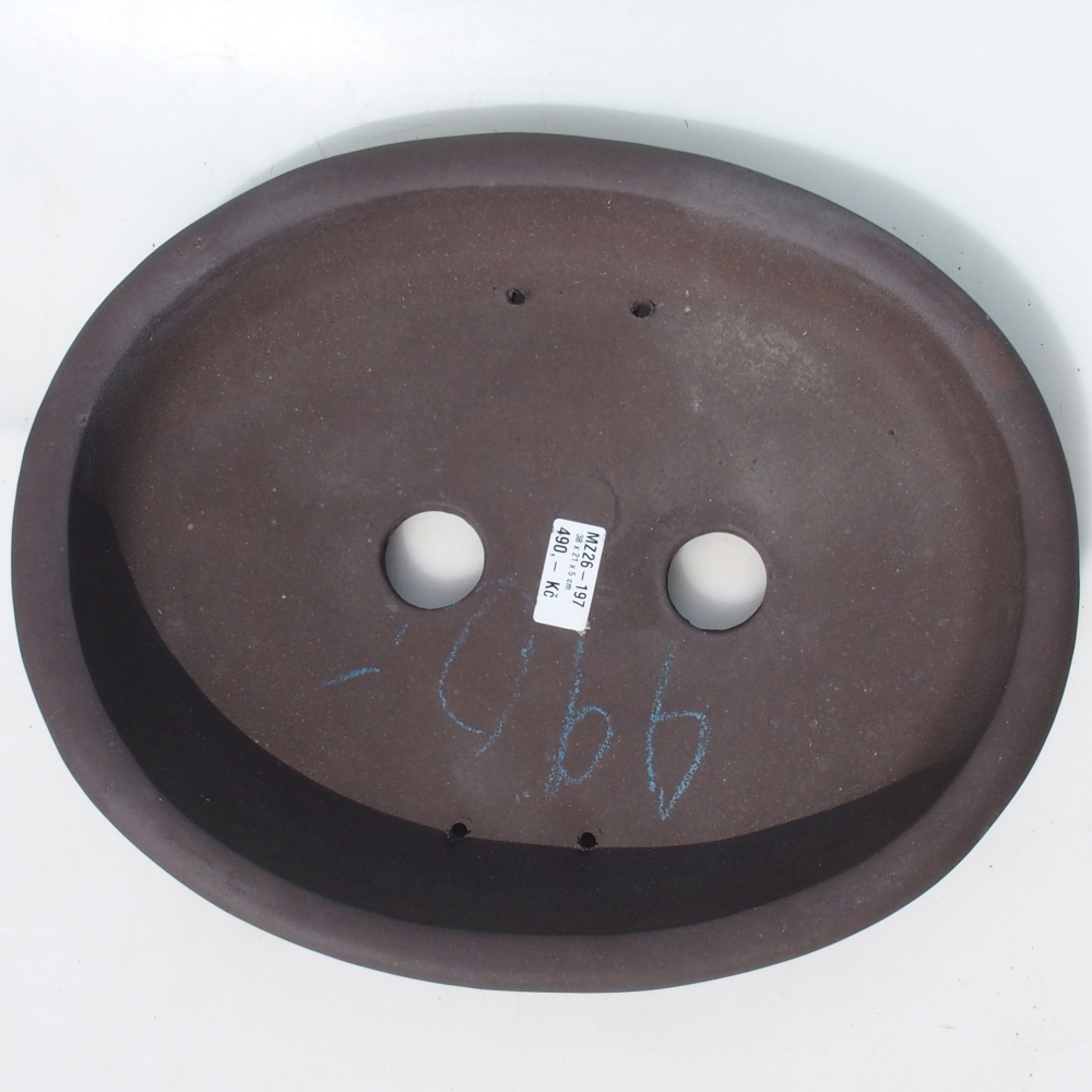 Bonsai tál 38 x 21 x 5 cm nyírfa barna