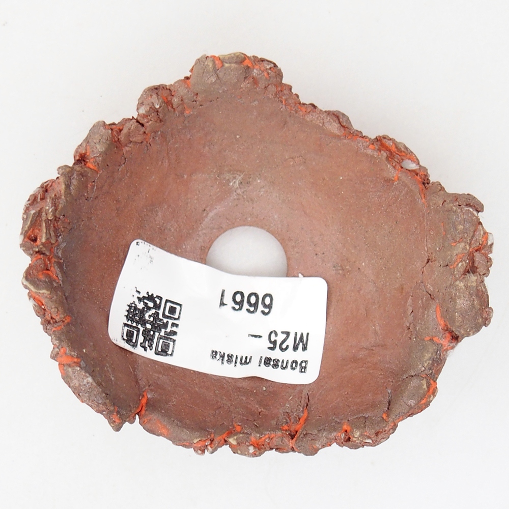 Kerámia kagyló 7,5 x 6,5 x 3,5 cm , narancssárga színű