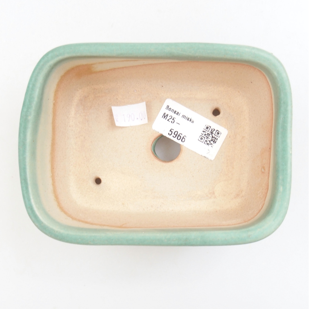 kerámia bonsai tál 22 x 17 x 5 cm, zöld