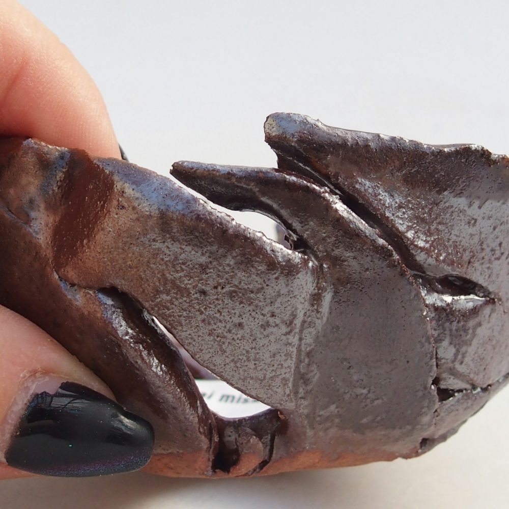 Kerámia kagyló 8,5 x 8,5 x 4 cm , barna színű