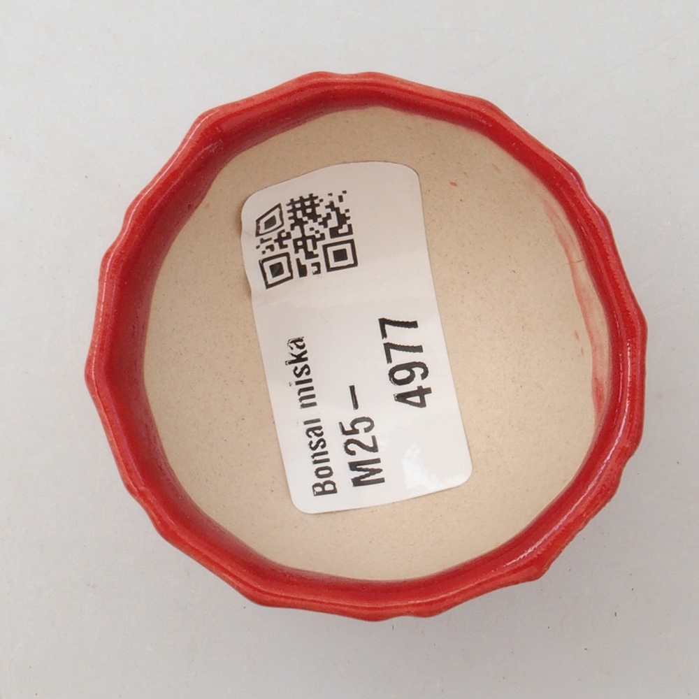 Mini bonsai tál 5 x 5 x 3 cm, piros színben