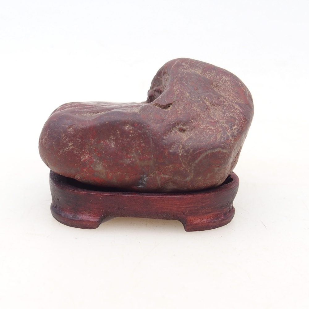 Suiseki - Kő DAI-val (fa alapon)