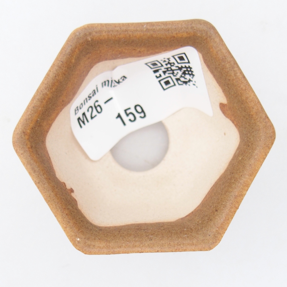 Mini bonsai tál 5,5 x 5 x 3 cm, barna