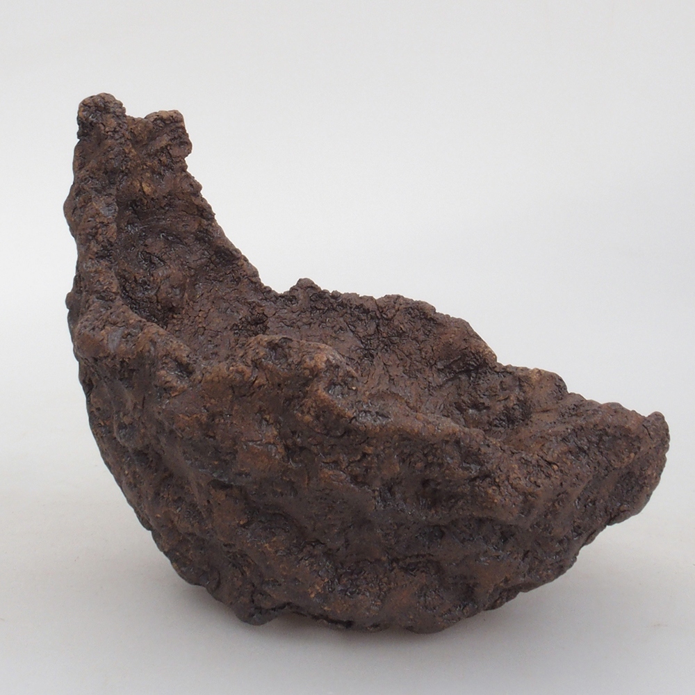 Kerámia kagyló 13 x 10,5 x 12,5 cm , színe barna